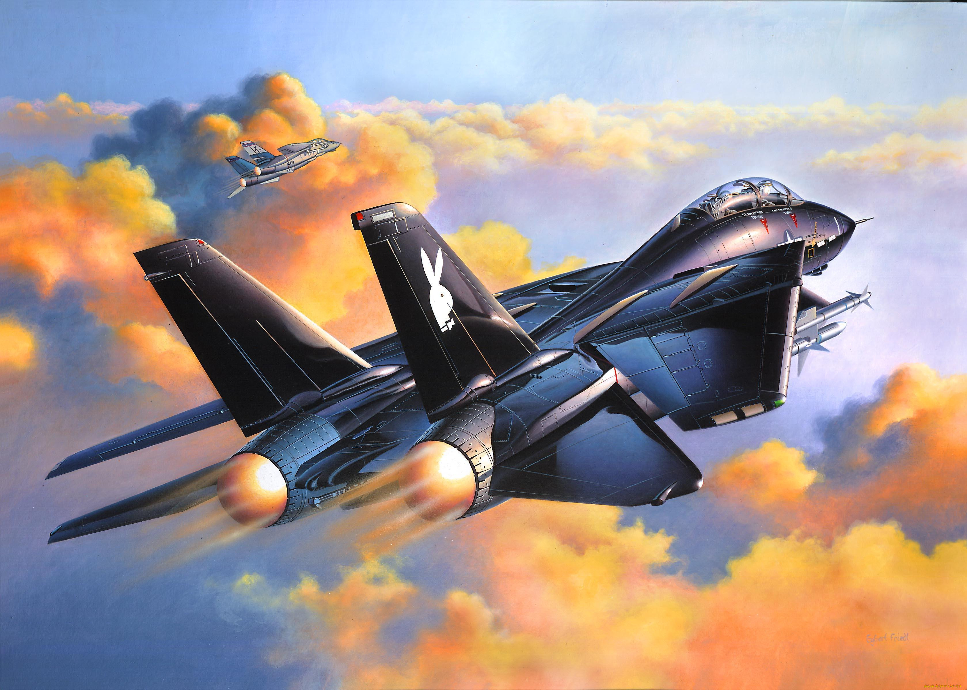 grumman, f14, tomcat, , 3, , graphic, , , 